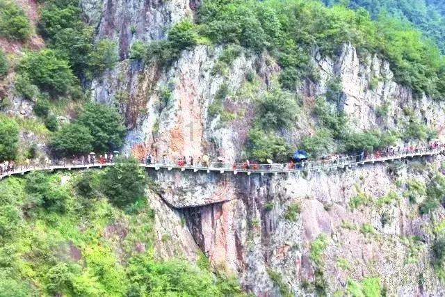 解答疑惑 探索知识,尽在柴进的绰号平台
